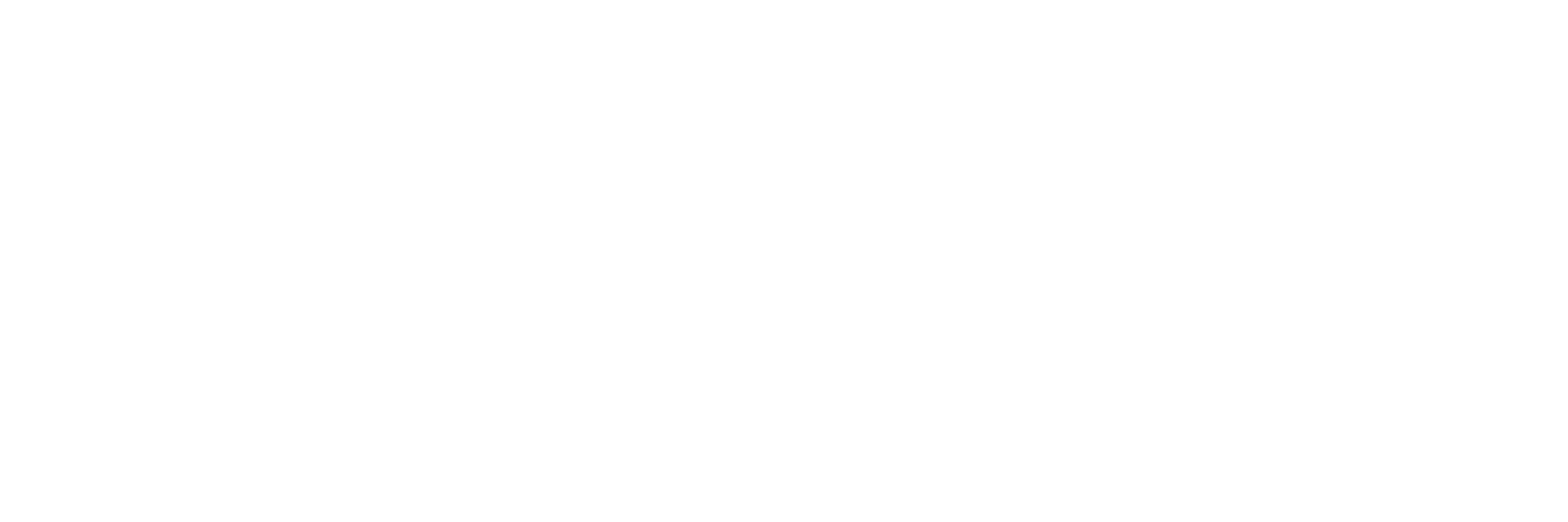 Performance Interpreting